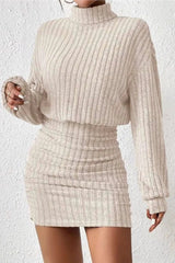 Knit Turtleneck Long Sleeve Bodycon Sweater Dress