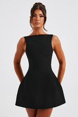 Fitted Sleeveless A-Line Work Dress