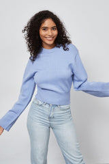Slim Fit Basic Crop Sweater