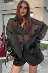 Sheer Puff Sleeve Collared Sexy Elegant Workwear Blouse