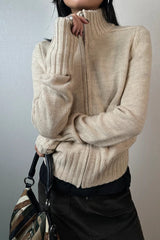 Thick Turtleneck Knit Sweater