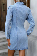 Slim Fit Collared Denim Dress