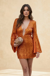 V-Neck Long Sleeve Mini Dress