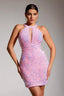 Round Neck Sleeveless Sequin Dress