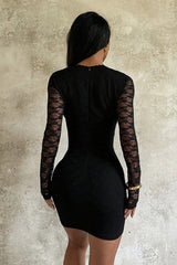 Sexy Deep V Long Sleeve Lace Dress