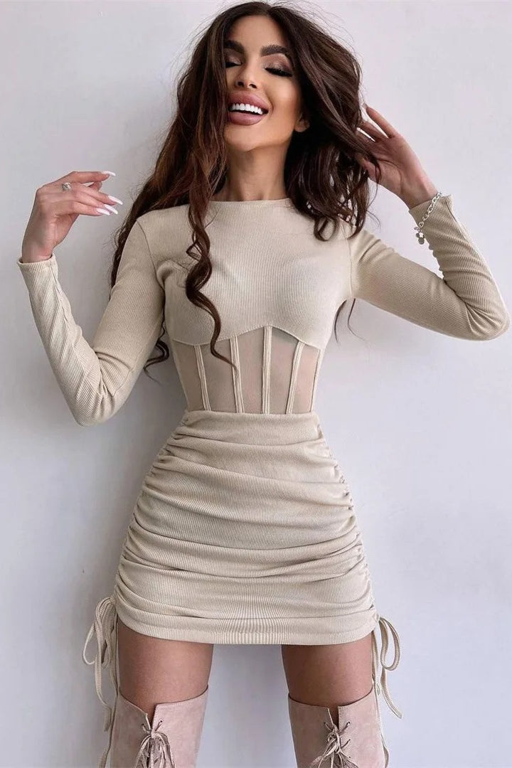 Sheer Mesh Bodycon Mini Dress – DressBetty