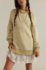 Striped Crew Neck Knit Sweater