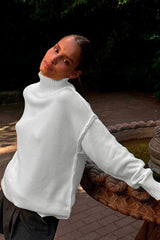 Colorblock Turtleneck Knit Sweater