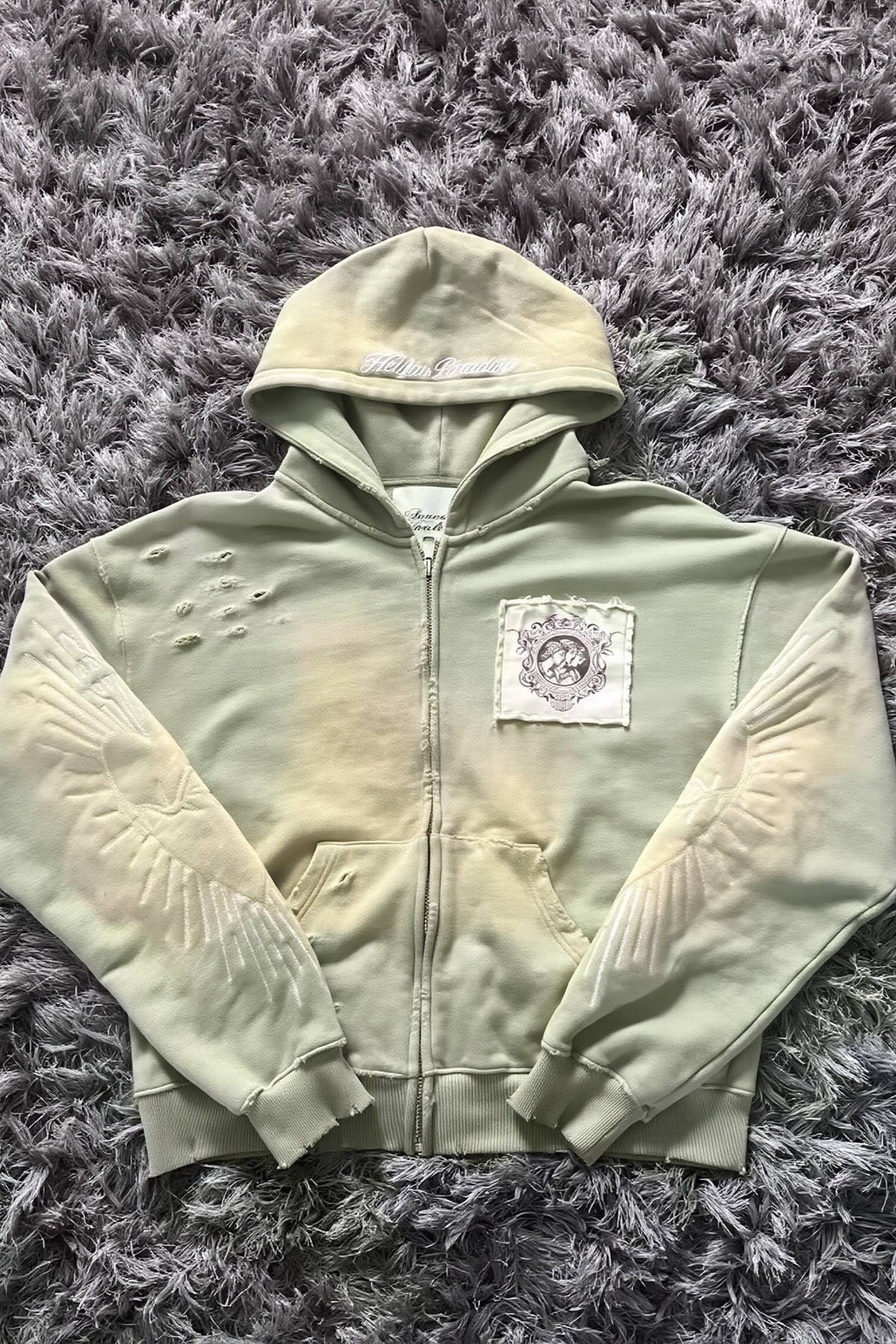 Distressed Wing Graphic Zip Front Hoodie Main image