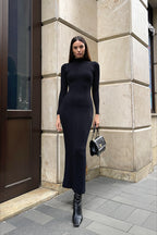 Knit Turtleneck Long Sleeve Bodycon Midi Dress