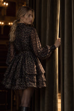Chiffon Leopard Print Long Sleeve Mini Dress