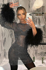 Sexy Sheer Mesh Sparkle Cocktail Dress