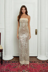 Strapless Sequin Bodycon Birthday Dress