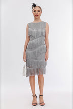 Vintage Beaded Fringe Party Dress