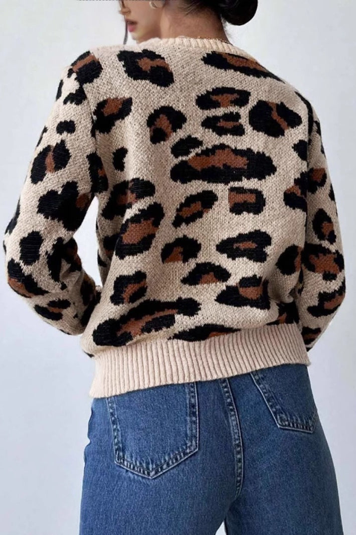 Contrast Leopard Crew Neck Sweater Secondary image