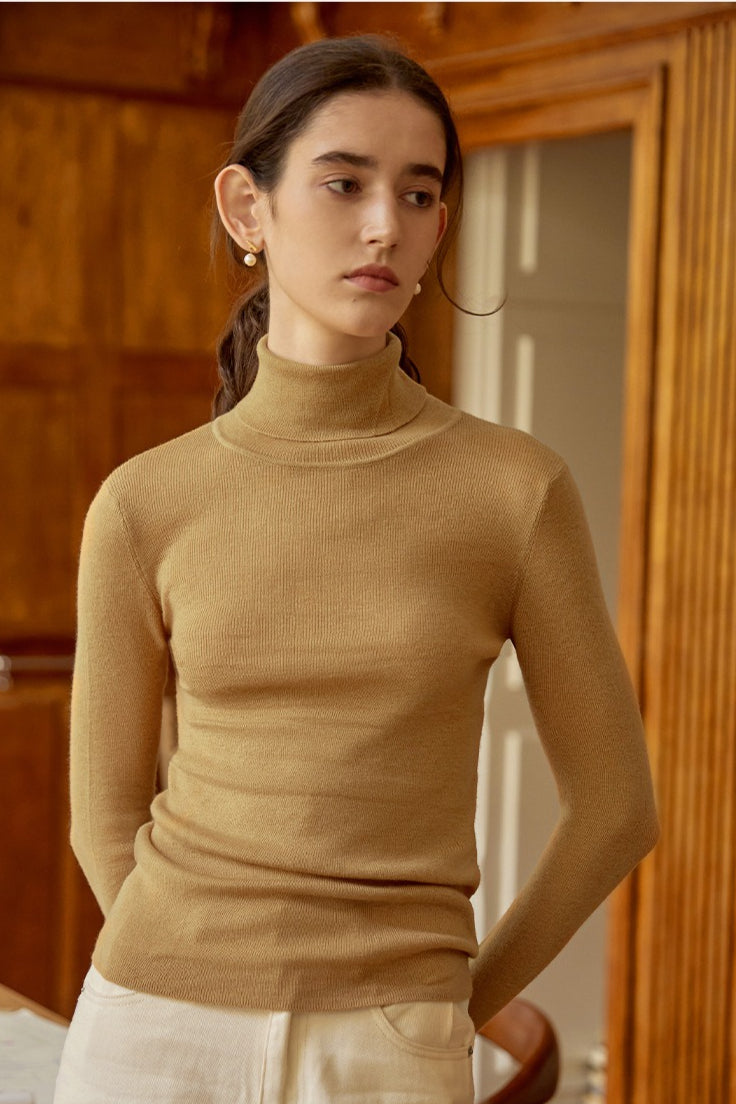 Wool Turtle Neck Slim Knit Top Main image