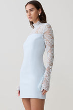Strapless Lace Panel Sheer Backless Bodycon Lace Dress