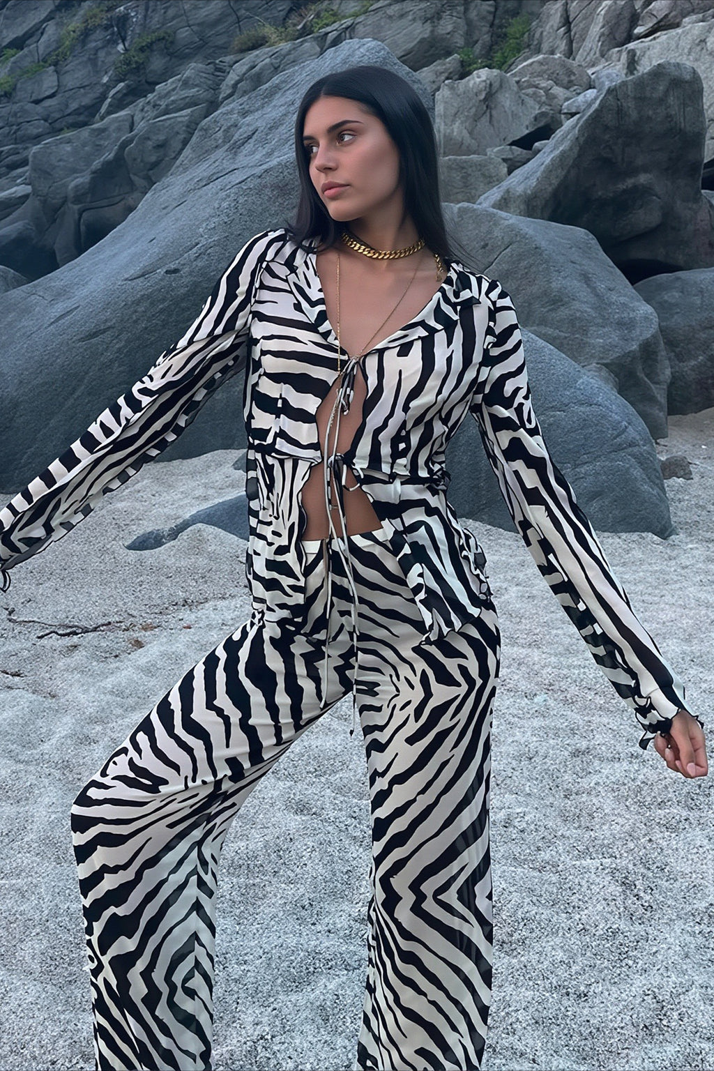 Zebra Print Mesh Tie Long Sleeve Two-Piece Set