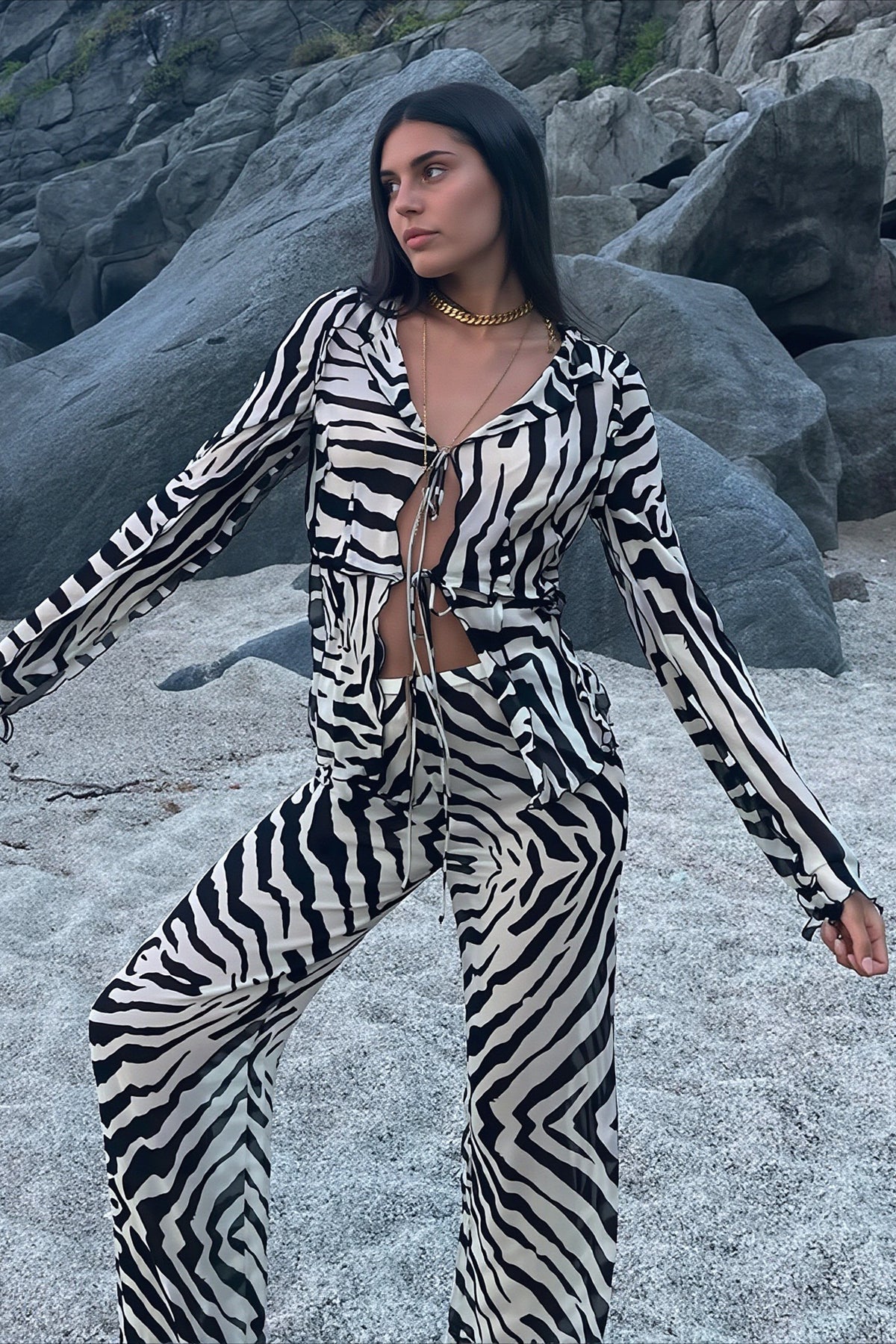 Zebra Print Mesh Tie Long Sleeve Two-Piece Set
