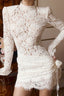 Lace Trim Cutout Long Sleeve Fit Mini Lace Dress