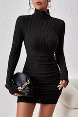 Solid Knit Turtleneck Ribbed Bodycon Mini Sweater Dress