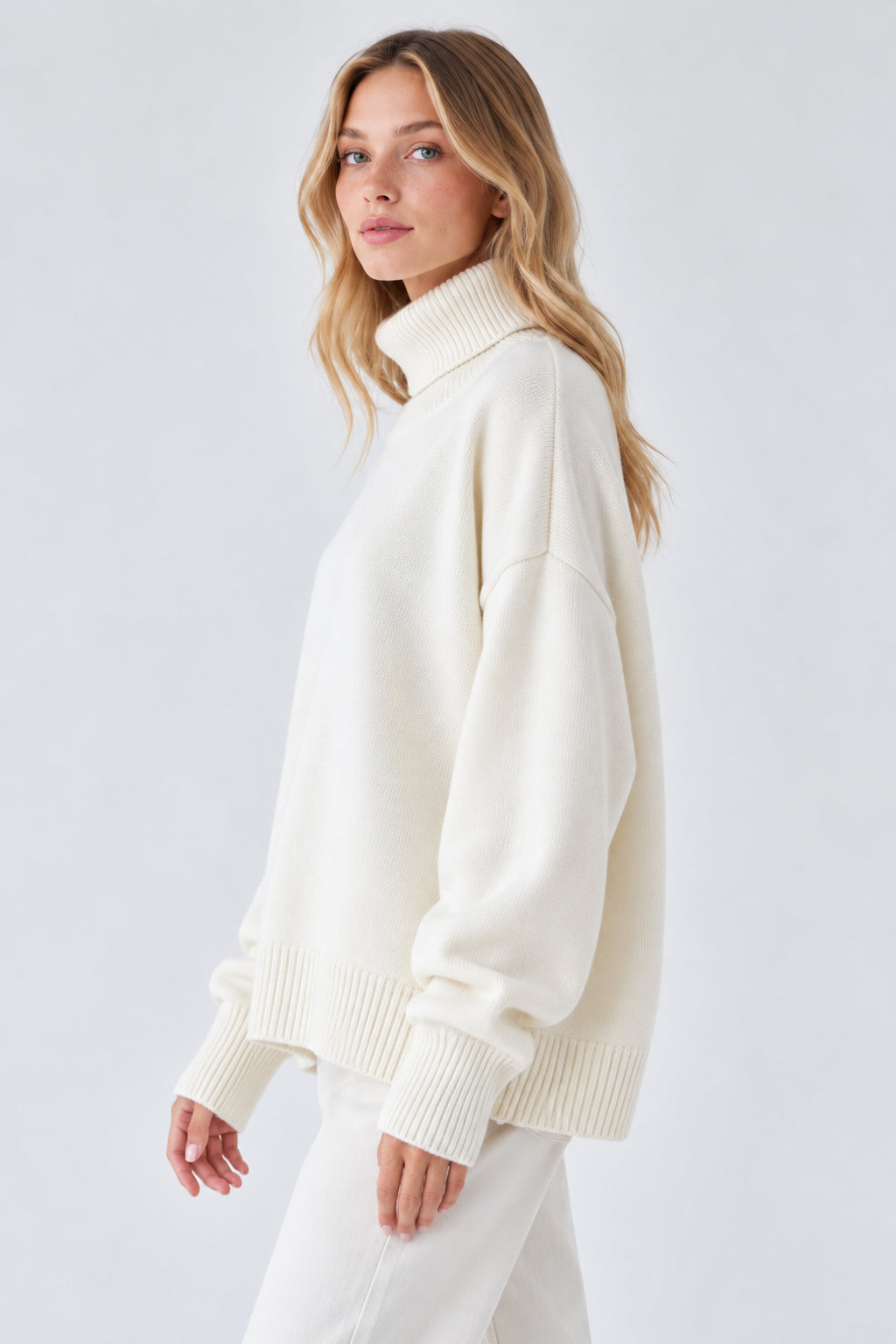 Basic Solid Knit Turtleneck Sweater