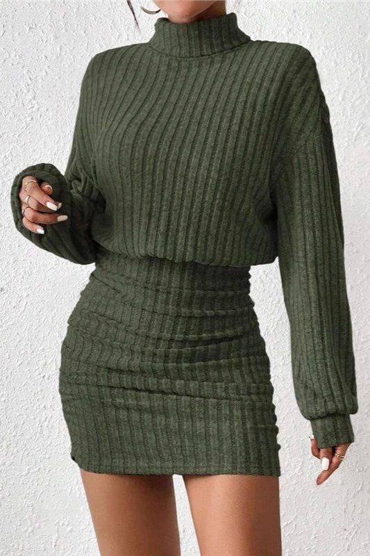 Knit Turtleneck Long Sleeve Bodycon Sweater Dress Main image