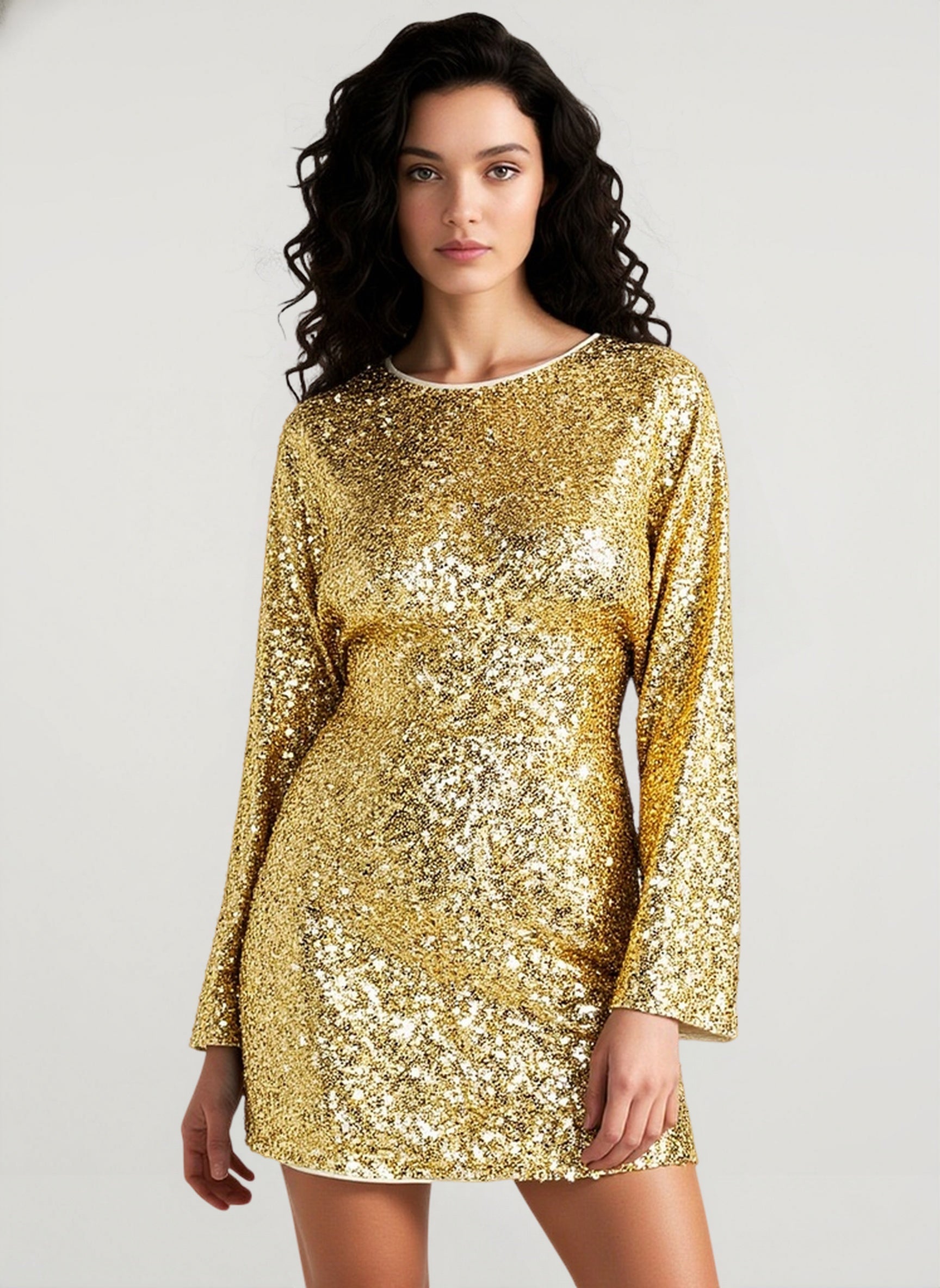 Elegant Slim Long Sleeve Sequin Dress Main image