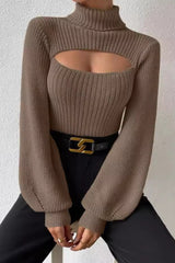 Turtleneck Fitted Sweater