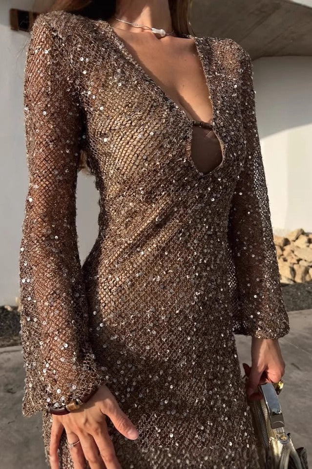 Elegant Sequin Crochet Bodycon Sequin Dress Main image