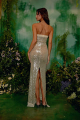 Strapless Sequin Bodycon Birthday Dress