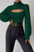 Turtleneck Fitted Sweater