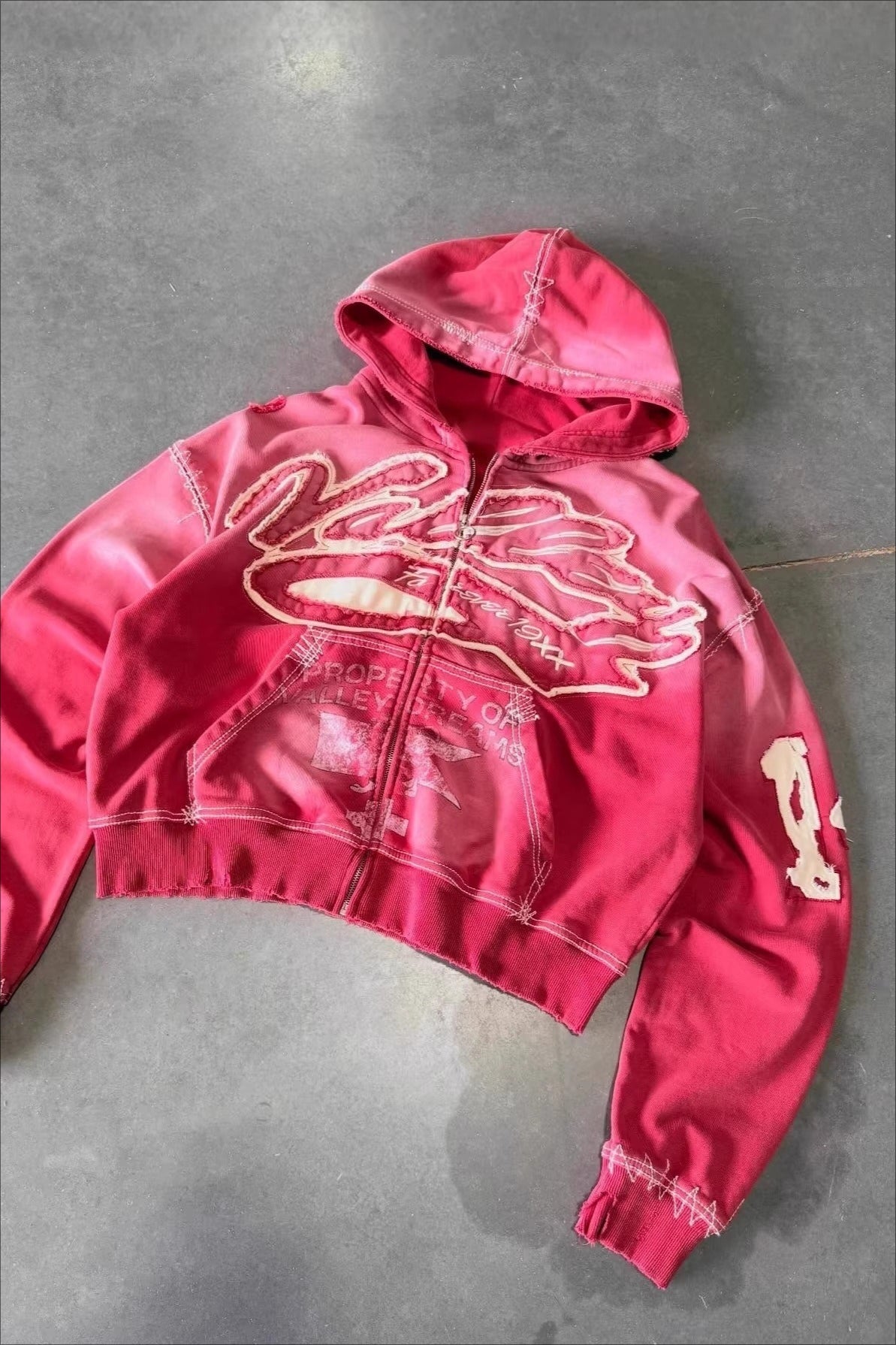 Washed Embroidered Graphic Zip Front Hoodie Secondary image