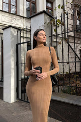Turtleneck Striped Knit Slim-Fit Long Sleeve Sweater Dress