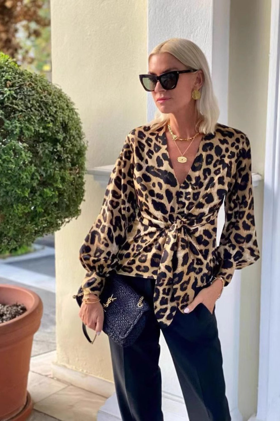 Leopard Print Tie Front V Neck Elegant Long Sleeve Blouse Main image
