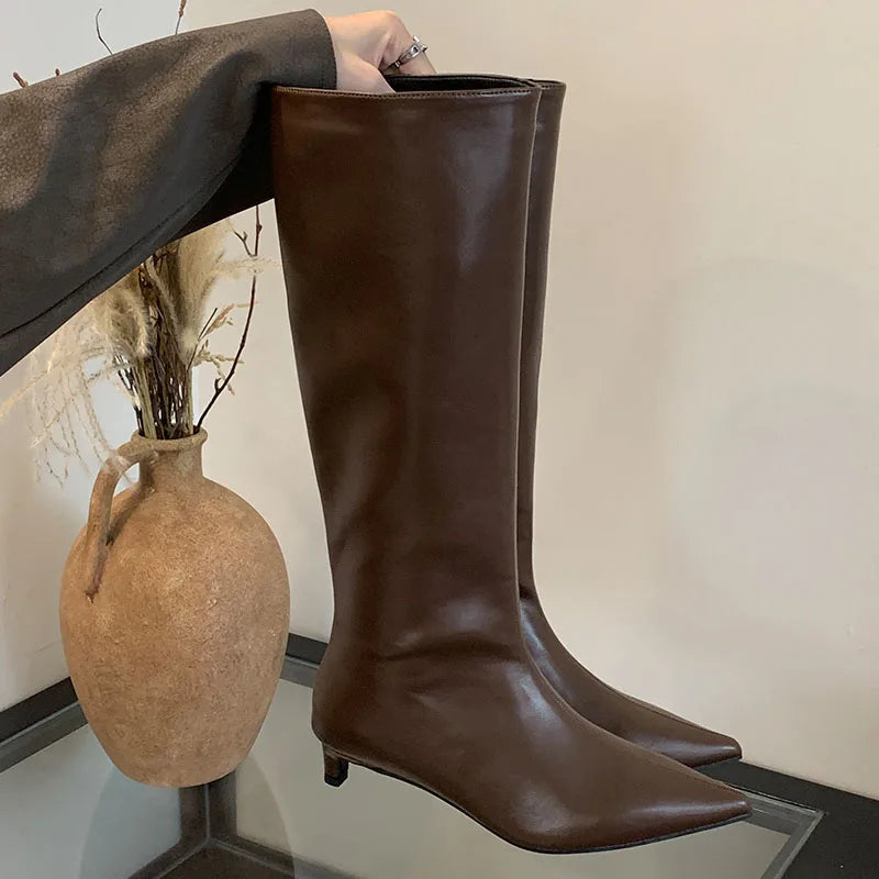 Female Designer Slip On Fashion Pointed Toe Low Heel Knee High Boots Main image