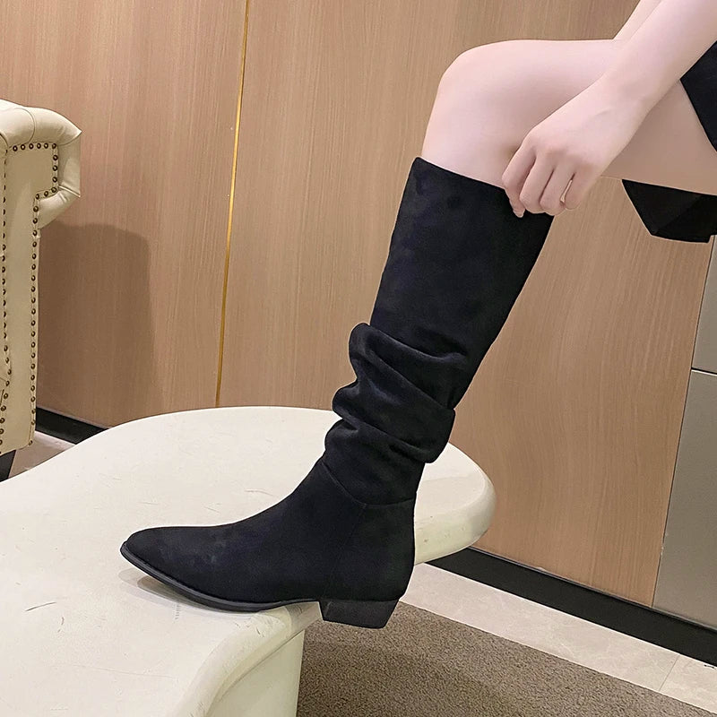 Comfy Fashionable Chunky Heel Pointed Toe Stylish Knee High Boots Main image