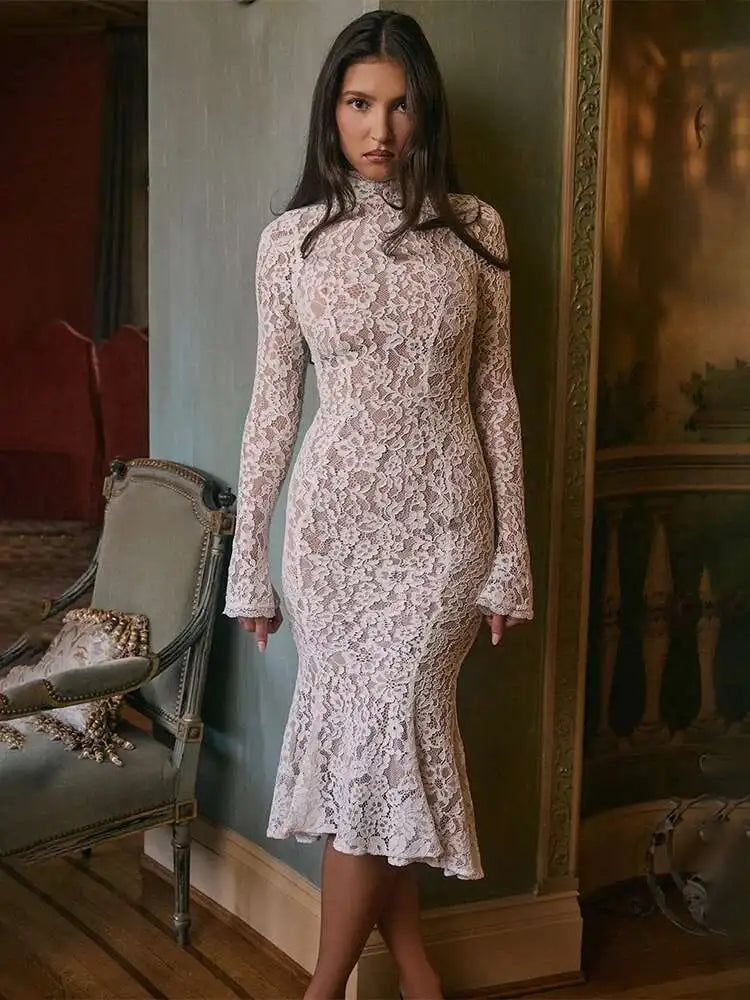 Slim Nightclub Party Lined Lace Dress Main image