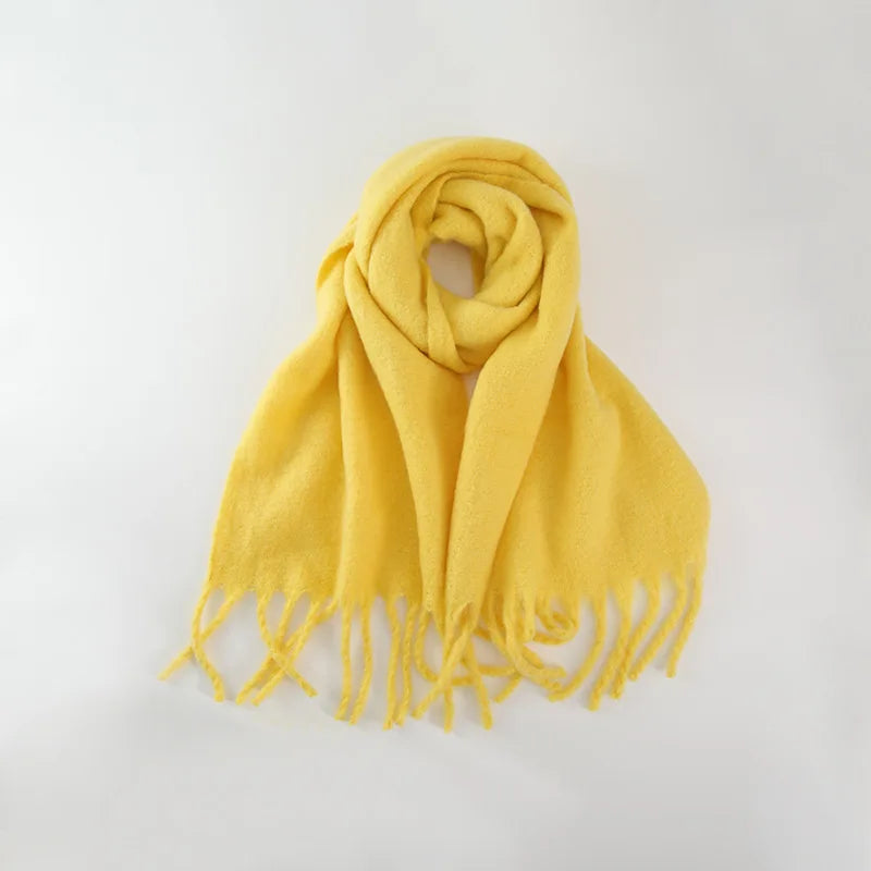 Cashmere Braid Tassel Thick Warm Scarf