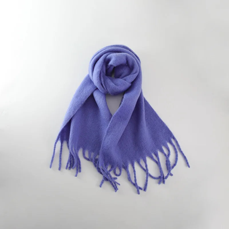 Cashmere Braid Tassel Thick Warm Scarf