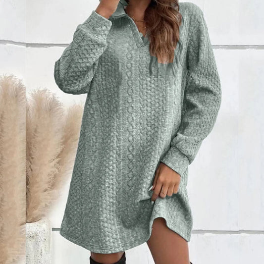 Basic Hooded Daily Going Out Fashion Solid Long Sleeve Casual Women's Dress
