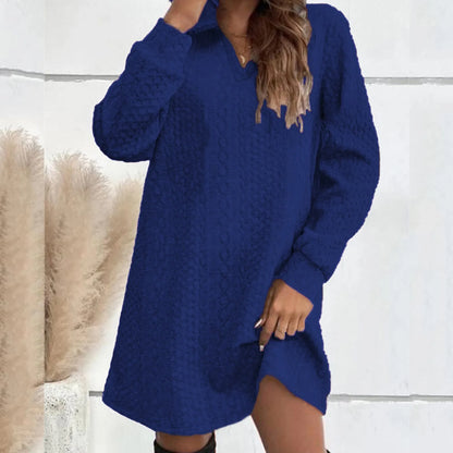 Basic Hooded Daily Going Out Fashion Solid Long Sleeve Casual Women's Dress