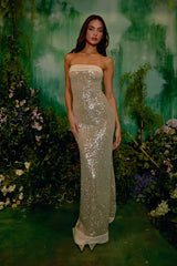 Strapless Sequin Bodycon Birthday Dress