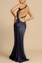 Bodycon Asymmetrical Neck Silk Dress