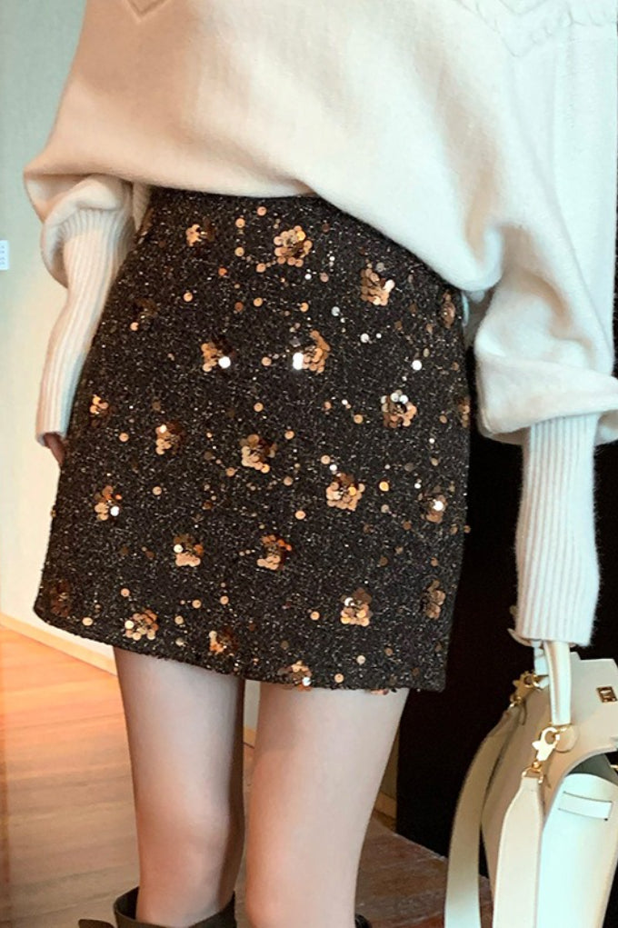 Embroidered Sequin High Waist A-Line Skirt Main image