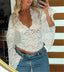 Flare Sleeve Lace V-Neck Sheer Top