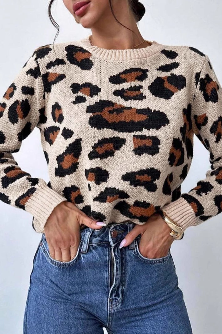 Contrast Leopard Crew Neck Sweater Main image