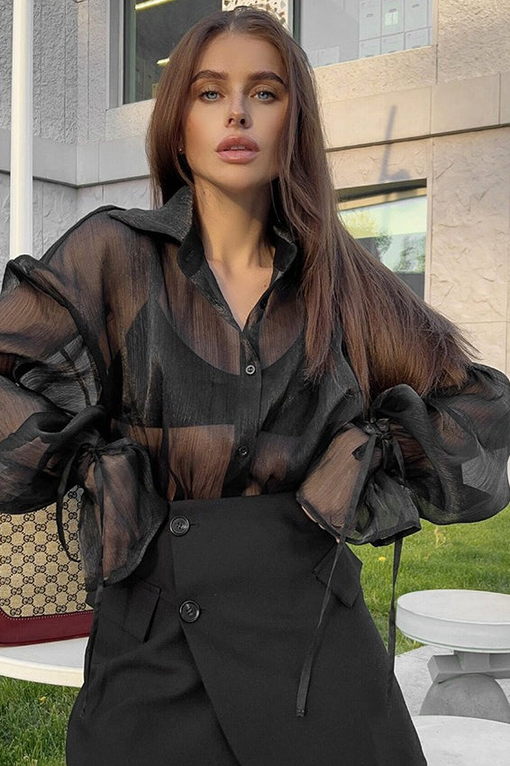 Sheer Puff Sleeve Collared  Elegant Workwear Blouse Secondary image