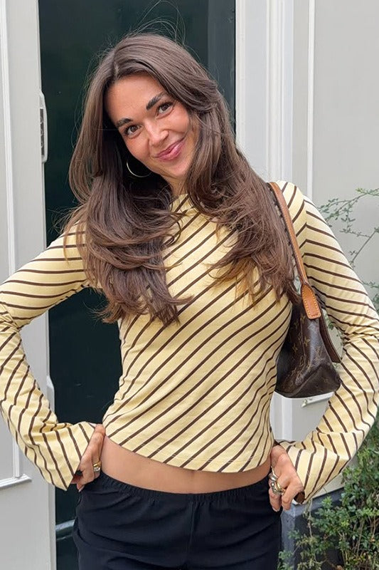 Fitted Long Sleeve Sheer Striped Crop Top Main image