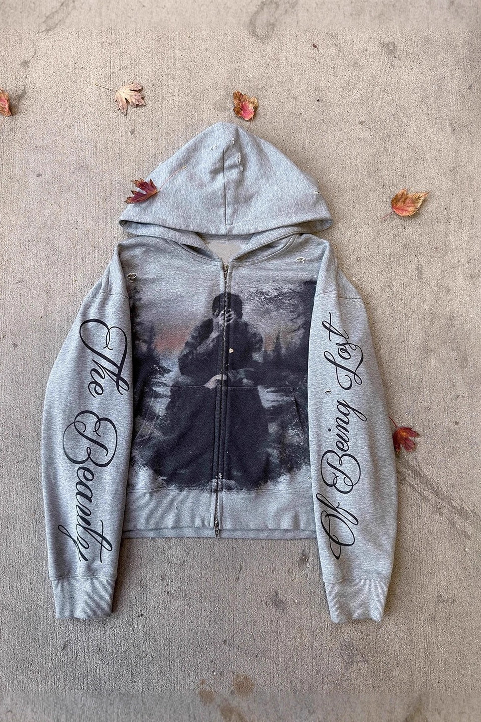 Photo Letter Graphic Zip Front Hoodie Secondary image